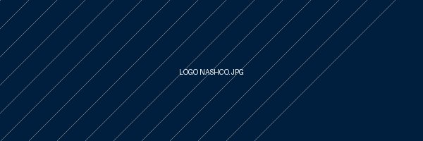 Nashco Global Logo